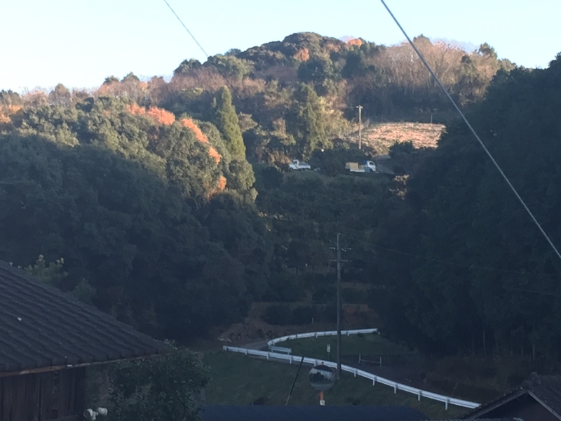 f:id:taddakomma:20141214225518j:plain f:id:taddakomma:20141214225518j:plain