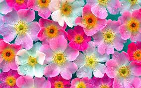 f:id:taemiku618:20160517222902j:plain f:id:taemiku618:20160517222902j:plain