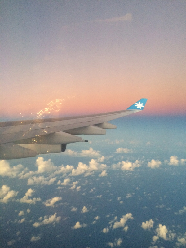 f:id:tahiti-tahaa-yy:20150602140200j:plain f:id:tahiti-tahaa-yy:20150602140200j:plain