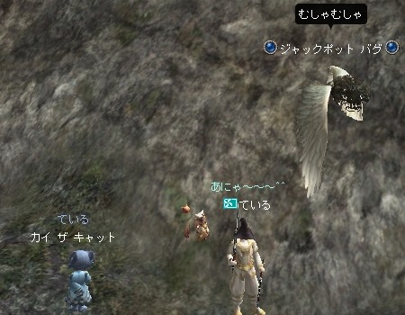 f:id:tail_furry:20090710020841j:image f:id:tail_furry:20090710020841j:image