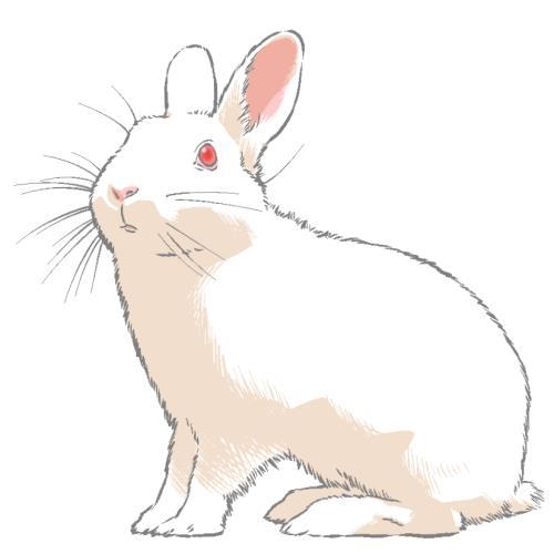 f:id:taithon:20150205215058j:plain f:id:taithon:20150205215058j:plain