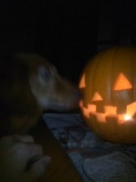 f:id:taiyui:20111027195422j:image f:id:taiyui:20111027195422j:image