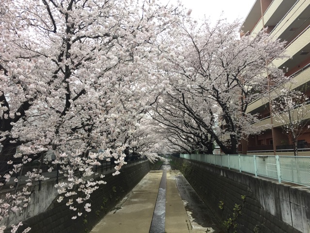 f:id:tajburrow:20150401082634j:plain f:id:tajburrow:20150401082634j:plain