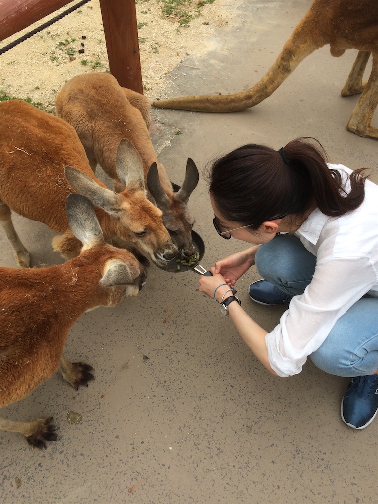 f:id:tajimask:20160529134024j:image f:id:tajimask:20160529134024j:image