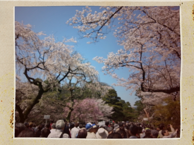 f:id:taka434:20140404173658j:plain f:id:taka434:20140404173658j:plain