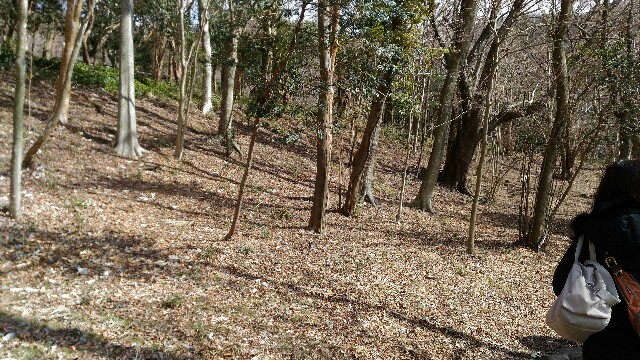 f:id:takagusu:20160213213549j:image f:id:takagusu:20160213213549j:image