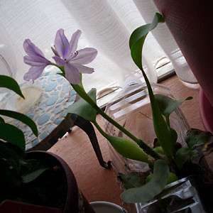 f:id:takahikonojima:20140220224629j:plain