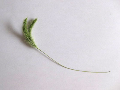 f:id:takahikonojima:20140221133842j:plain