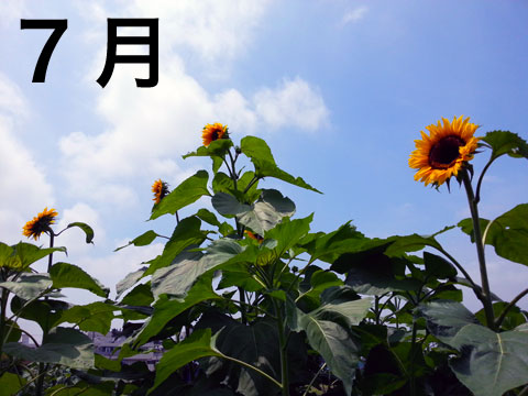 f:id:takahikonojima:20140731213457j:plain f:id:takahikonojima:20140731213457j:plain