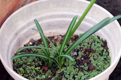 f:id:takahikonojima:20141011183729j:plain