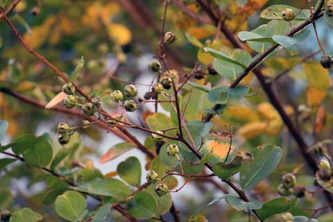 f:id:takahikonojima:20141019171723j:plain f:id:takahikonojima:20141019171723j:plain