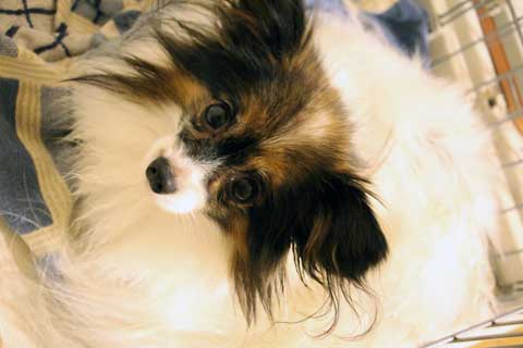 f:id:takahikonojima:20141019225721j:plain f:id:takahikonojima:20141019225721j:plain