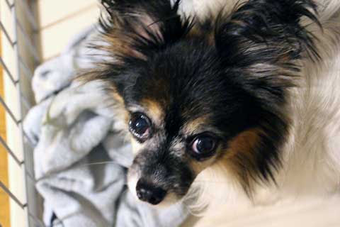 f:id:takahikonojima:20141020000801j:plain f:id:takahikonojima:20141020000801j:plain