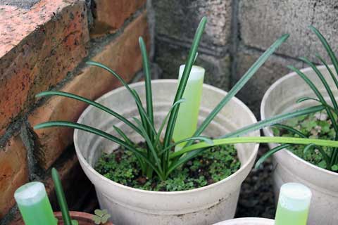 f:id:takahikonojima:20141020183942j:plain