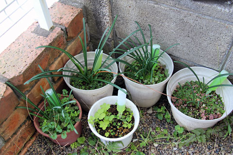 f:id:takahikonojima:20141104195335j:plain