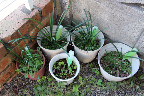 f:id:takahikonojima:20141108221817j:plain