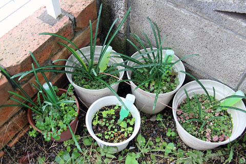 f:id:takahikonojima:20141109155044j:plain