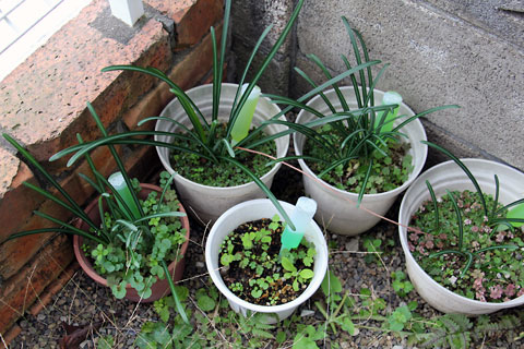 f:id:takahikonojima:20141112150003j:plain