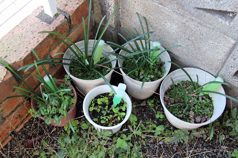 f:id:takahikonojima:20141112150125j:plain