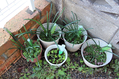 f:id:takahikonojima:20141113110022j:plain