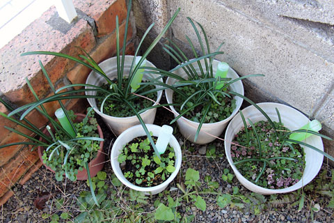 f:id:takahikonojima:20141116102941j:plain