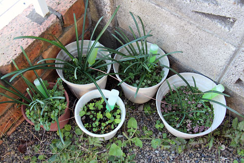 f:id:takahikonojima:20141116103413j:plain