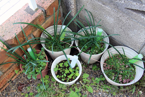 f:id:takahikonojima:20141116104232j:plain