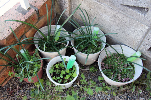 f:id:takahikonojima:20141119143802j:plain