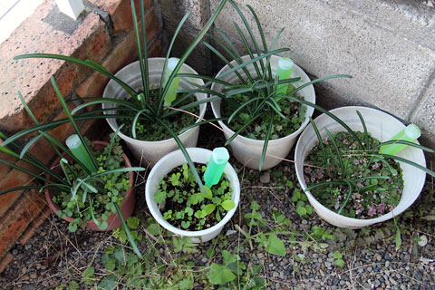 f:id:takahikonojima:20141119220301j:plain