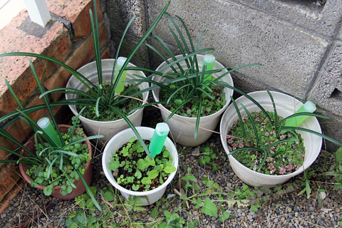 f:id:takahikonojima:20141120193430j:plain