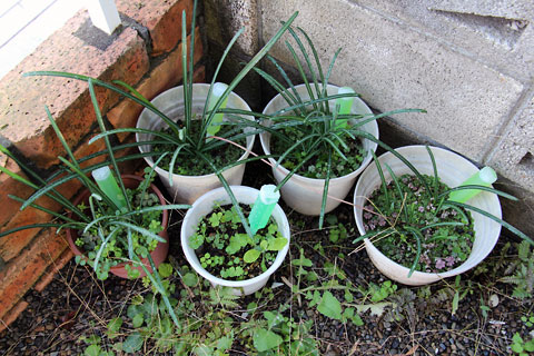 f:id:takahikonojima:20141122093918j:plain