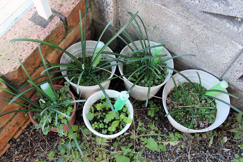 f:id:takahikonojima:20141122093924j:plain