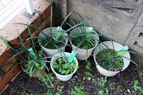 f:id:takahikonojima:20141129103845j:plain