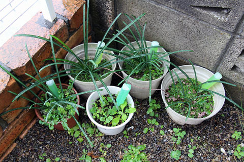 f:id:takahikonojima:20141207100348j:plain f:id:takahikonojima:20141207100348j:plain