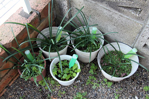 f:id:takahikonojima:20141207100424j:plain f:id:takahikonojima:20141207100424j:plain