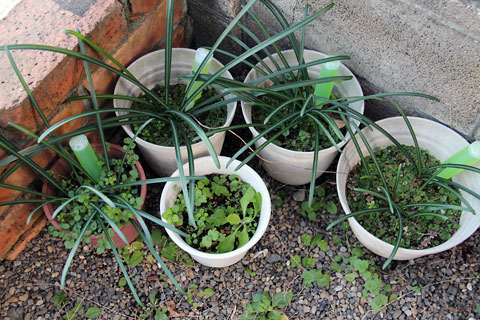 f:id:takahikonojima:20141223160626j:plain