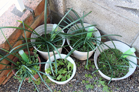 f:id:takahikonojima:20141227090308j:plain