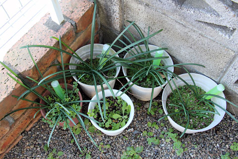 f:id:takahikonojima:20141230121936j:plain f:id:takahikonojima:20141230121936j:plain