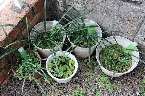 f:id:takahikonojima:20150101182508j:plain f:id:takahikonojima:20150101182508j:plain