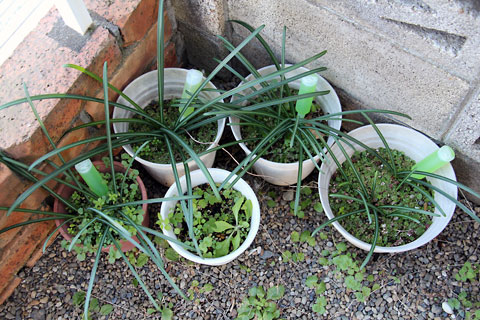 f:id:takahikonojima:20150105095140j:plain