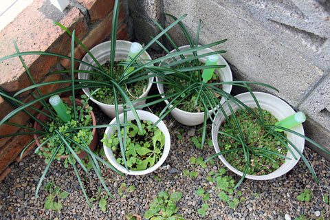 f:id:takahikonojima:20150110162833j:plain