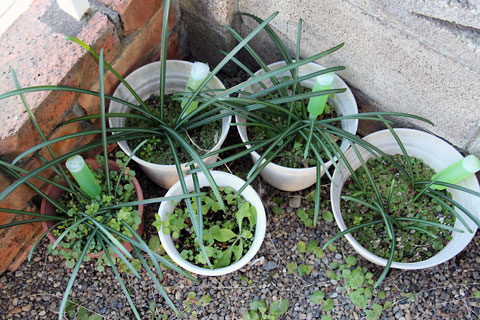 f:id:takahikonojima:20150110162839j:plain