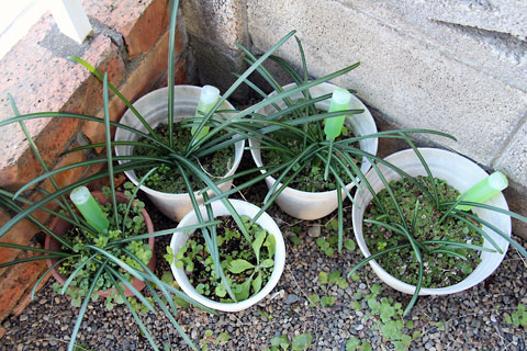 f:id:takahikonojima:20150110162844j:plain