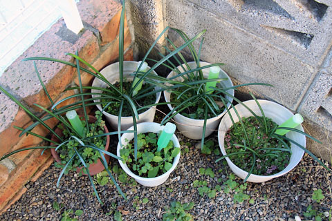 f:id:takahikonojima:20150118110854j:plain