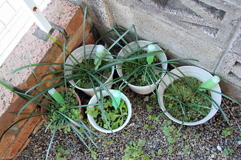 f:id:takahikonojima:20150118110904j:plain