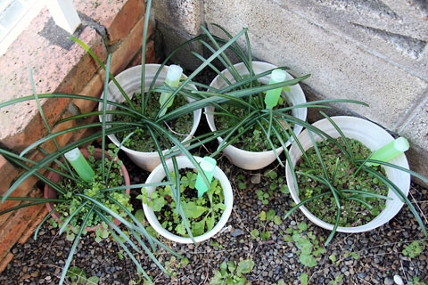 f:id:takahikonojima:20150118110910j:plain