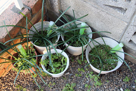 f:id:takahikonojima:20150118110927j:plain