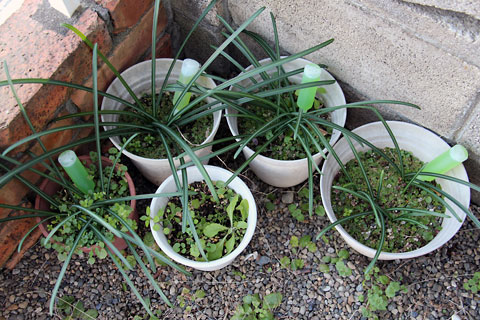 f:id:takahikonojima:20150118110940j:plain