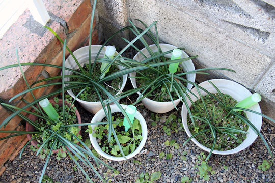 f:id:takahikonojima:20150119092044j:plain