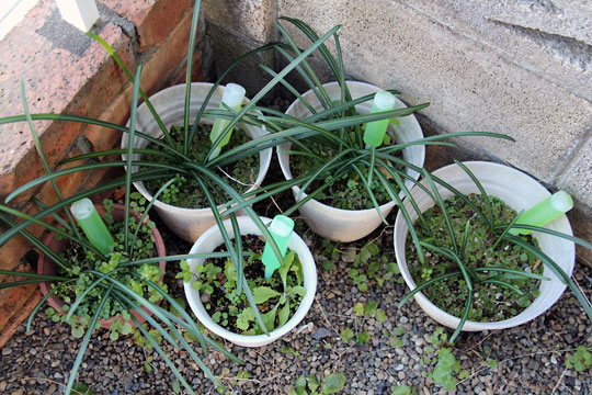 f:id:takahikonojima:20150119092050j:plain